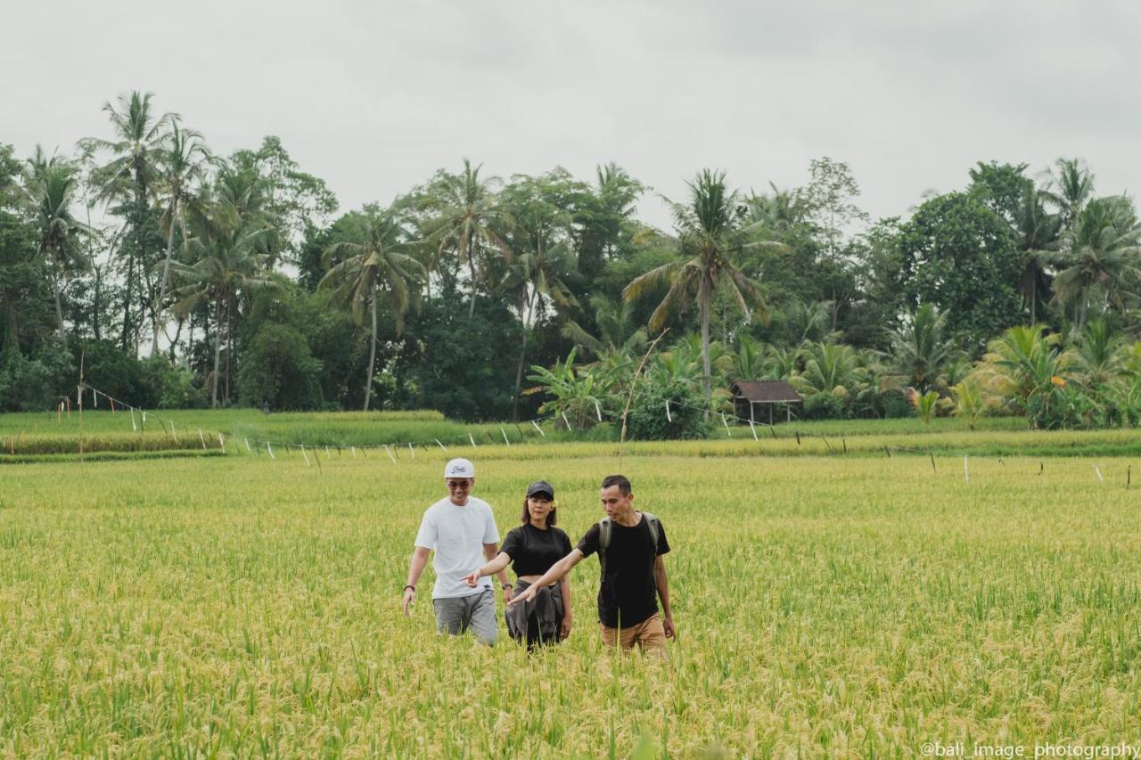 Thewakanda Resort A Pramana Experience Ubud Eksteriør bilde