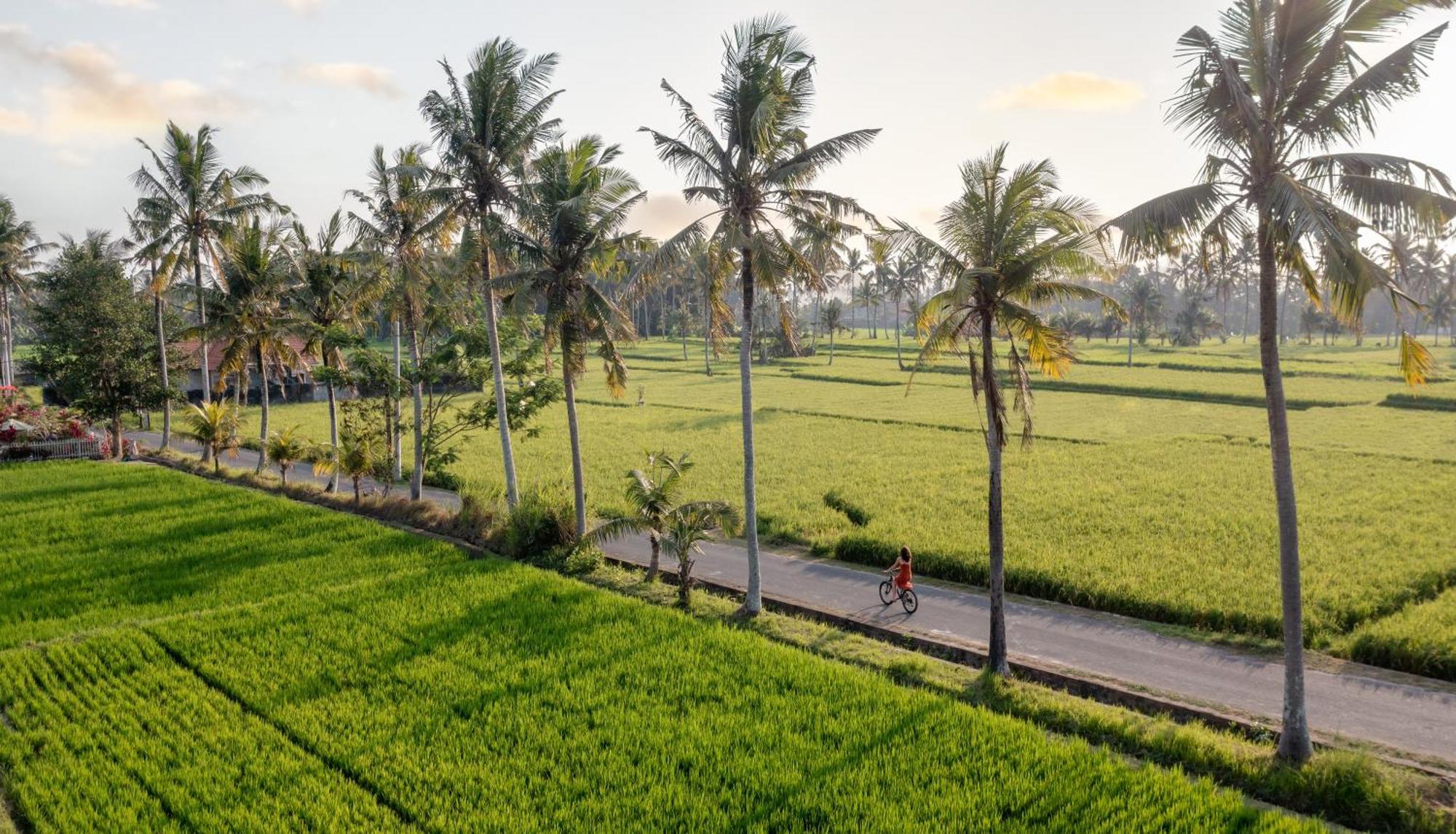 Thewakanda Resort A Pramana Experience Ubud Eksteriør bilde