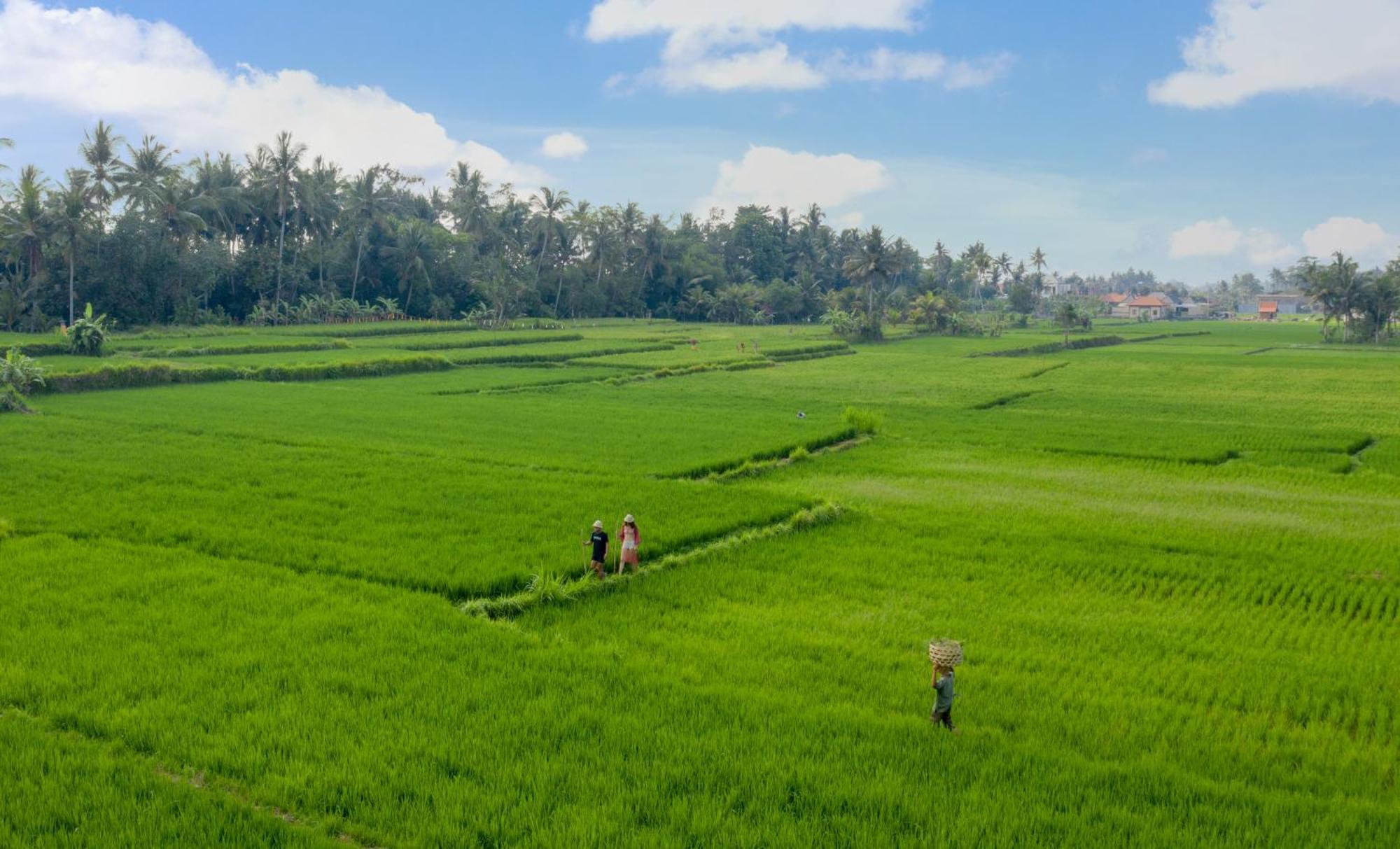 Thewakanda Resort A Pramana Experience Ubud Eksteriør bilde